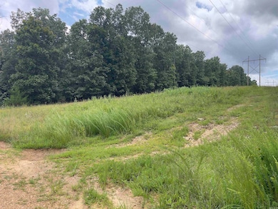 TBD Turkey Springs Ranch Ln, Highland, AR 72543 - photo 3