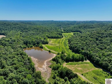 2680 Long Branch Rd unit (Crittenden Co. KY 5, Sturgis, KY 42459 - photo 3