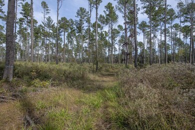 00 Oak Grove Church Rd, Asheboro, NC 27205 - photo 6