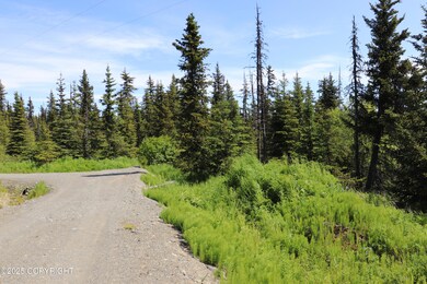 54533 Winchester Ave, Fritz Creek, AK 99603 - photo 6