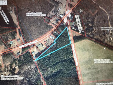 Tbd Slablanding Rd unit Bolentown SC, Orangeburg, SC 29115 - photo 2