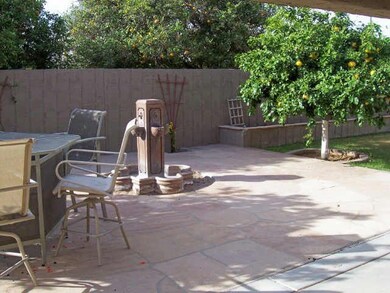 back yard
