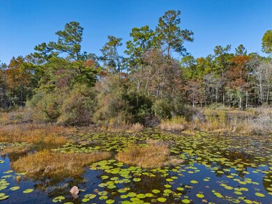 0 Tram Rd unit 393471, Tallahassee, FL 32311 - photo 5