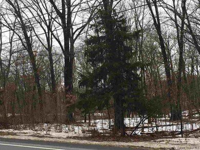 715 Broadway, Ulster Park, NY 12487 - photo 3