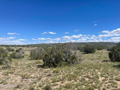 2272 W Critter Pass Photo 9
