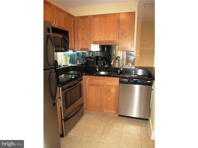 Bridge Five Condominiums unit 507, Philadelphia, PA 19127 - photo 6