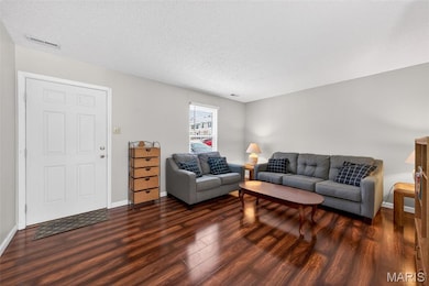 30 Delray Ct, Saint Peters, MO 63376 - photo 5