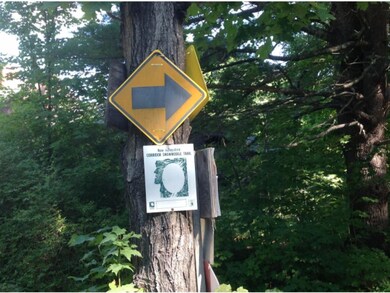 0 Molly Philbrick Rd unit 4440003, Effingham, NH 03882 - photo 4