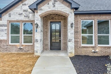 8200 Old Springtown Rd, Springtown, TX 76082 - photo 5