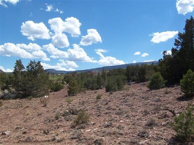 0 Camino Mesteno Tract 6-A unit 758521, Placitas, NM 87043 - photo 6