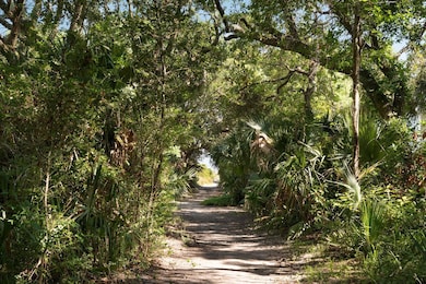 14 55th Ave, Isle of Palms, SC 29451 - photo 3