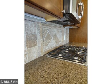 Tiled Backsplash in Gourmet Kitchen