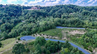 Lot 9 Stone Cove Way, Dandridge, TN 37725 - photo 5