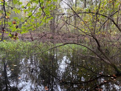 CR 2912 County Road 2912, Hughes Springs, TX 75656 - photo 4