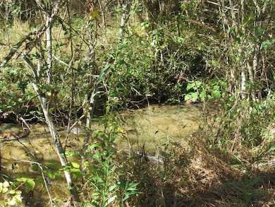 14322 Smith Creek Rd, Bristol, VA 24202 - photo 7