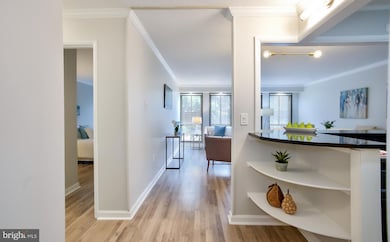 The St. George unit 109, Washington, DC 20036 - photo 4