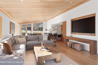 120 Turtle Cove, Aspen, CO 81611 - photo 3