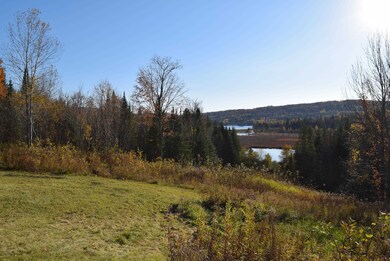 2175 Vt Route 15 Route, Walden, VT 05873 - photo 6