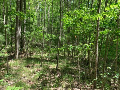 Lot 22 Whitetailed Deer Dr, Tomahawk, WI 54487 - photo 5