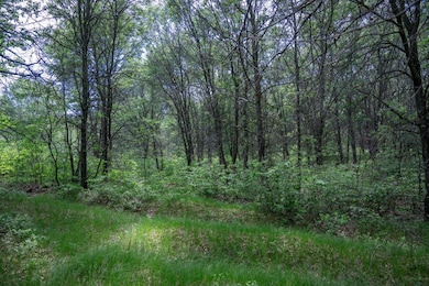 2.08 ac N Clearview Rd, Nekoosa, WI 54456 - photo 5