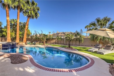 Surrounded by mature palm trees, the backyard oasi