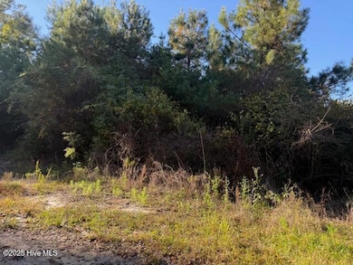 0 Knight Way SE, Winnabow, NC 28479 - photo 2