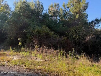 0 Knight Way SE unit 100542829, Winnabow, NC 28479 - photo 2