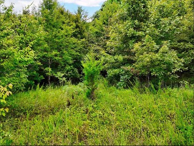 0 Shores Trail unit RTC3000397, Stewart, TN 37175 - photo 4