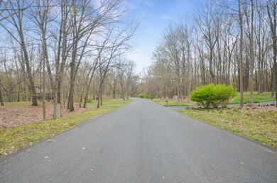 6029 Farhills Way, Alamo Township, MI 49009 - photo 6