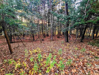 0 Baker Turn unit 5019377, Hartford, VT 05001 - photo 6