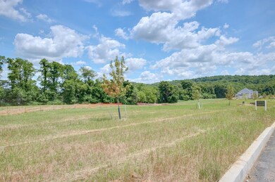 5072 Hunter Lot #10 Ln, Upper Milford Township, PA 18034 - photo 2