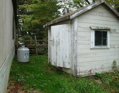 Yard/Garden.