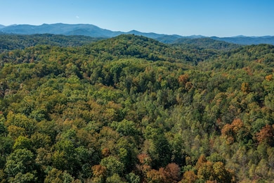 1876 Upper Middle Creek Rd, Sevierville, TN 37876 - photo 2