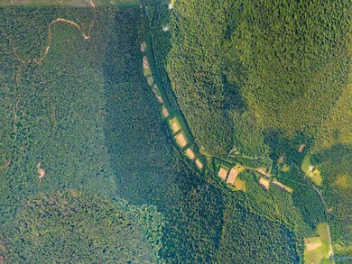 3818 -6 County Road 4 unit TRACT 6, Hollytree, AL 35751 - photo 3