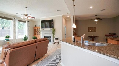 2506 Great Bear Ln, Denton, TX 76210 - photo 5