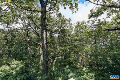 212 Pinnacle Dr, Roseland, VA 22967 - photo 7