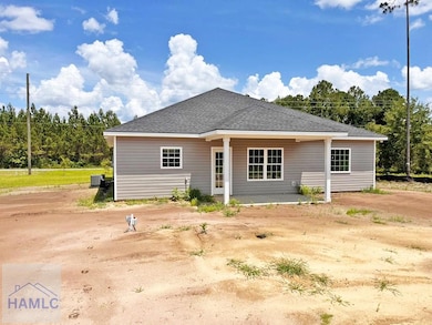 209 Lanier Rd, Ludowici, GA 31316 - photo 4