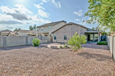 Low Maintenance Backyard