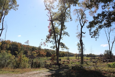 14901 Desoto Rd, Mineral Wells, MS 38654 - photo 4