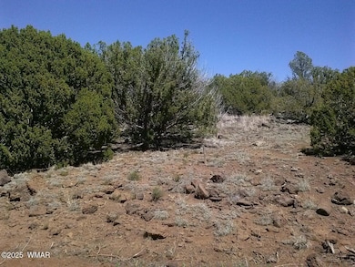 0 Cr 8026, Concho, AZ 85924 - photo 3