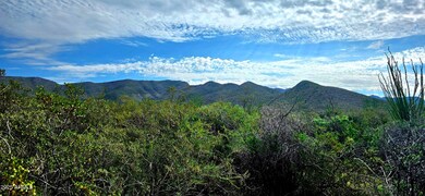 Lots 3 & 4 S Lonesome Dr unit 3, Hereford, AZ 85615 - photo 5