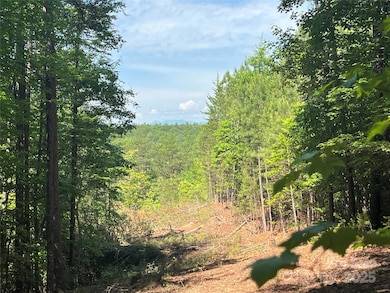 0 S Mountain Dr unit 16 CAR4256054, Nebo, NC 28761 - photo 3