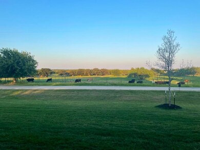 1268 County Road 4797, Springtown, TX 76082 - photo 5