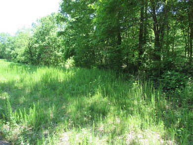 1890 Mayberry Prong Rd, Linden, TN 37096 - photo 3