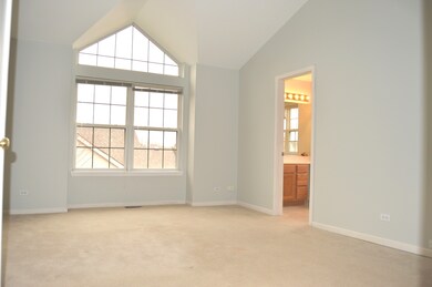 2019 Tamahawk Ln unit 2019, Naperville, IL 60564 - photo 5