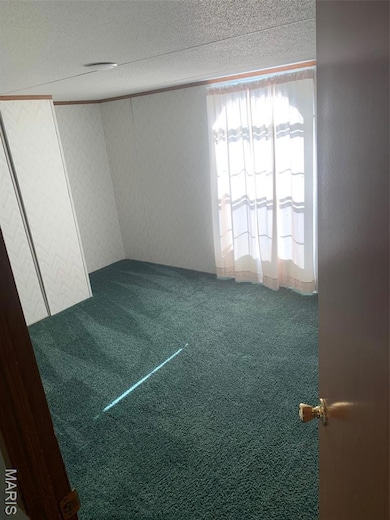 4727 Highway 50, Unincorporated, MO 65051 - photo 6