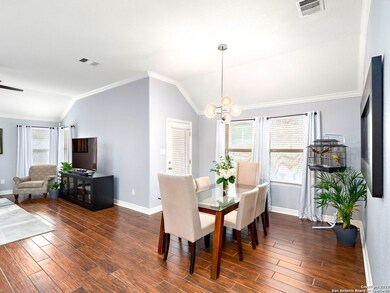 18002 Bierstadt Mount, Helotes, TX 78023 - photo 5