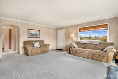 3941 Loomis Trail Rd, Blaine, WA 98230 - photo 6