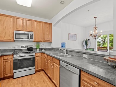 6079 Delaney Dr unit 203, Hoffman Estates, IL 60192 - photo 7