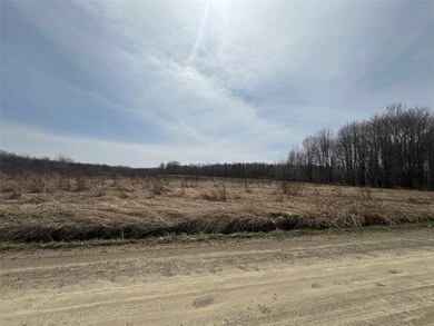 Field view